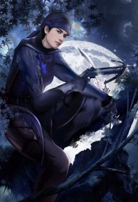 武夫抬轿